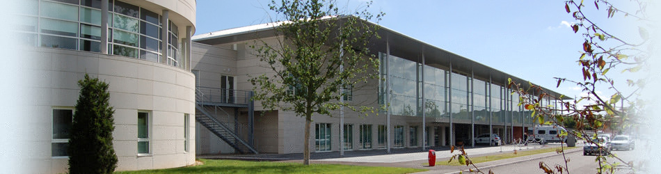 欧美部分国家新冠疫情传播时间或早于官方公布日期