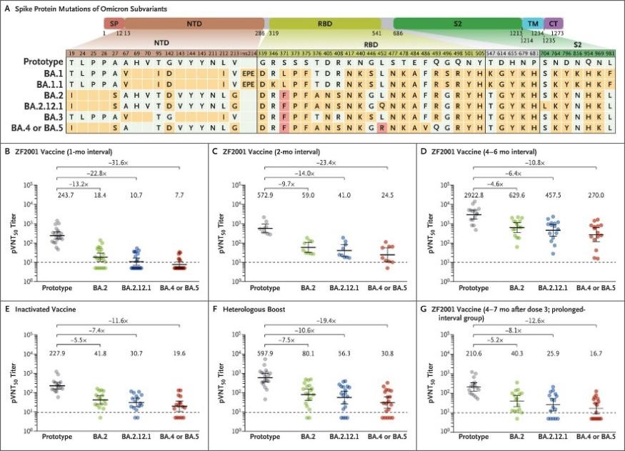 新型毒株考验下，现有疫苗作用几何？高福团队呼吁开发新疫苗
