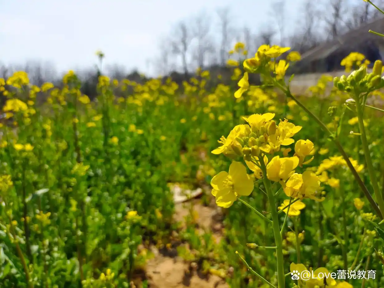 疫情下闲暇时光多，陪伴父母享田园生活，品尝农家美食