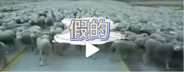 疫情防控关键期，这些疫情谣言别轻信！真相在这里