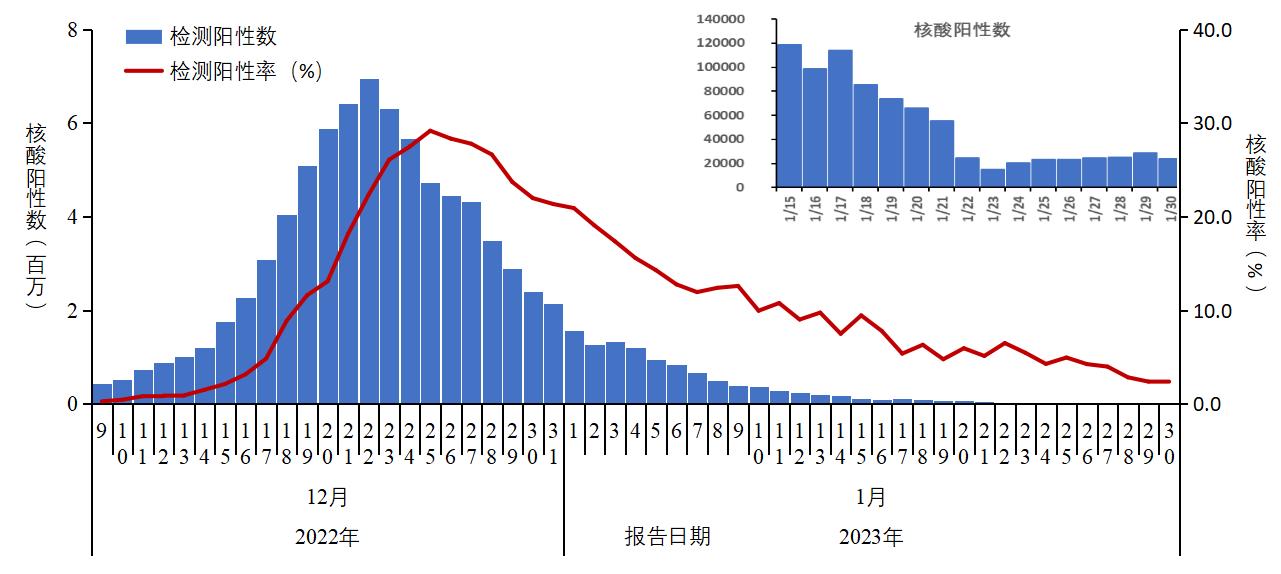 全国新冠核酸及抗原检测结果：阳性数和阳性率先增后降