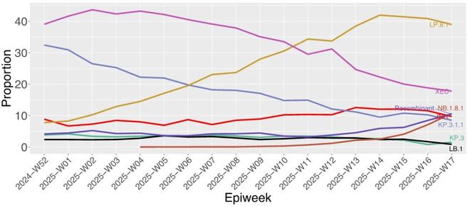 新冠周期性感染高峰_新冠疫情活动规律_新冠疫情