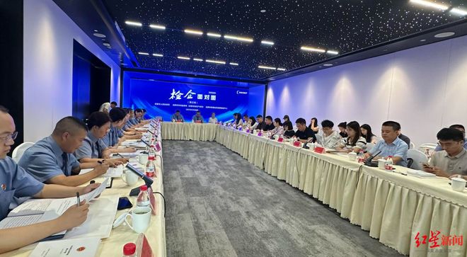 知识产权检察助力科技创新_刑民交叉问题解决方法_辅助外挂法律责任